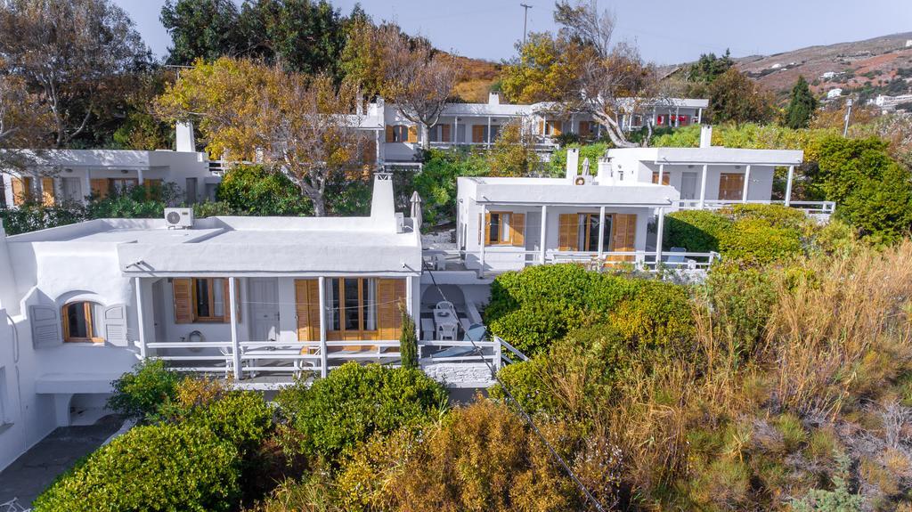Irene'S Villas Andros Town Exterior foto