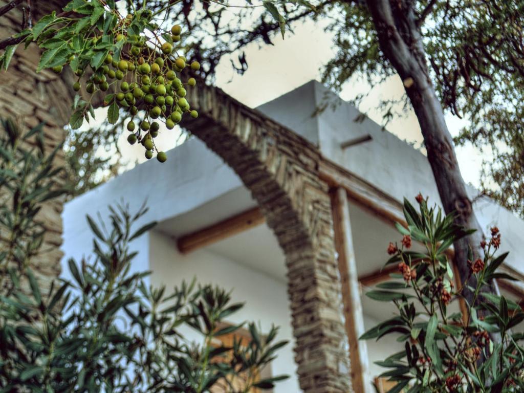 Irene'S Villas Andros Town Exterior foto
